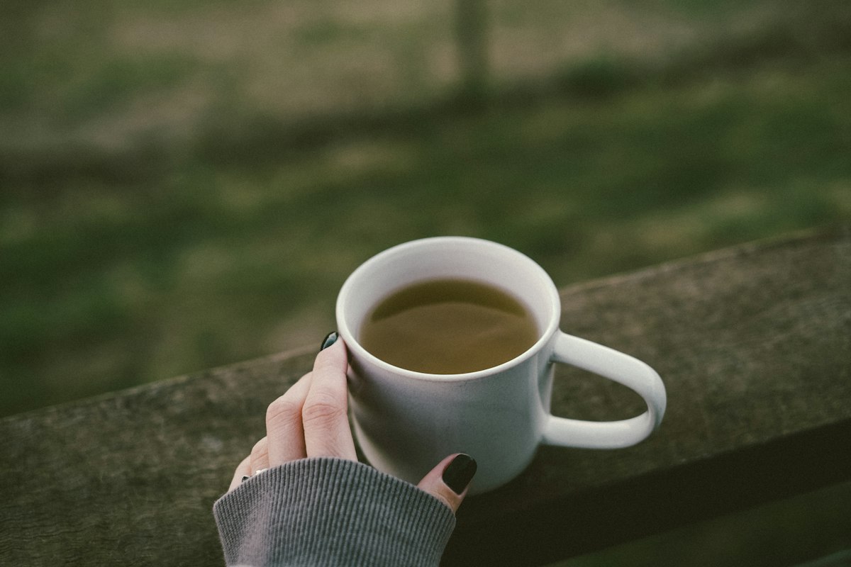 Pu-erh vieilli